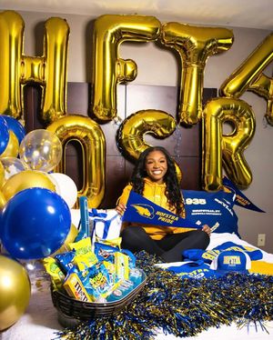 Image post by @hofstrau on Instagram