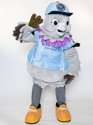 Image post by @skythepigeon on Instagram