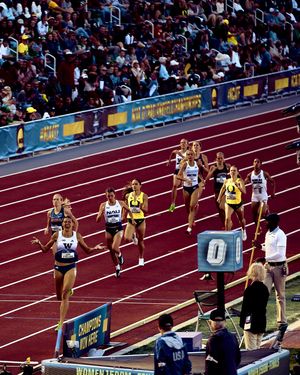 Image post by @sophie.osullivan on Instagram