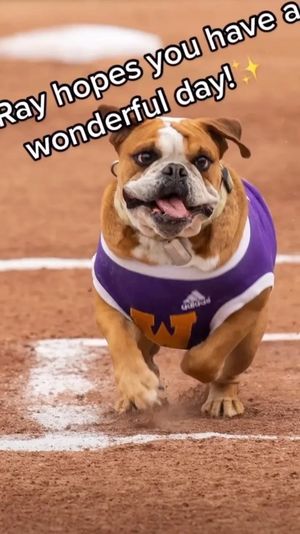 Video post by @westerniluniv on Instagram