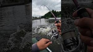Video post by @jonasederfishing on YouTube