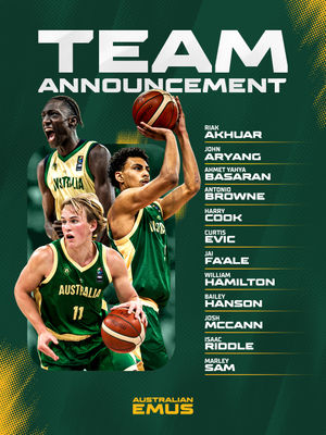 Image post by @basketballaus on Instagram
