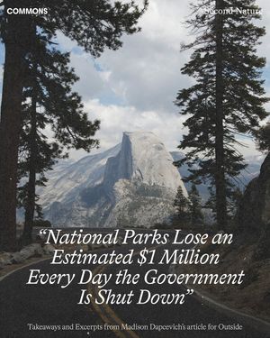 Image post by @commonsearth on Instagram