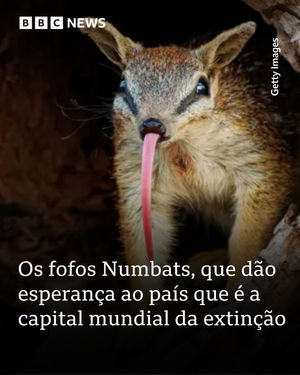 Image post by @bbcbrasil on Instagram