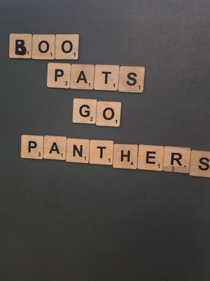 Image post by @roaringriot on Instagram