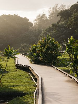 Image post by @madwilliams727 on Instagram