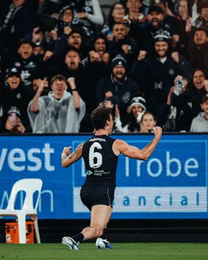 Image post by @carlton_fc on Instagram