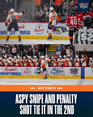 Image post by @flintfirebirds on Instagram