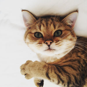 Image post by @dentsu on Instagram