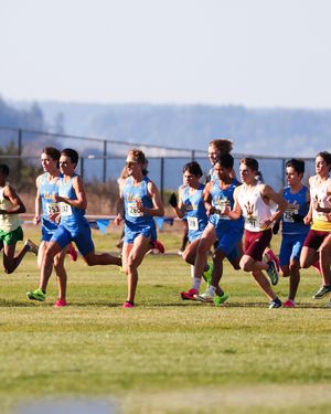Image post by @uclaxc on Instagram