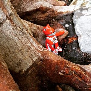 Image post by @ucalgarydinos on Instagram