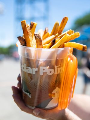 Image post by @cedarpoint on Instagram