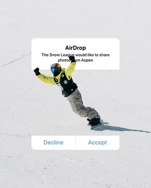 Image post by @thesnowleague on Instagram
