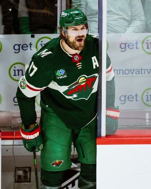 Image post by @minnesotawild on Instagram