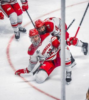 Image post by @everythingcollegehockey on Instagram