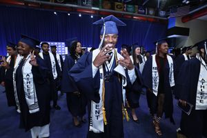 Image post by @gojsutigers on Instagram
