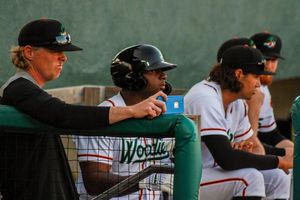 Image post by @gowoodducks on Instagram