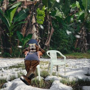 Image post by @therealstaley on Instagram