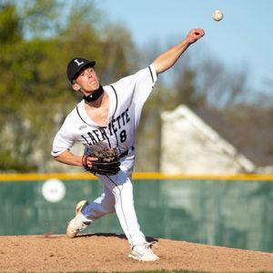 Image post by @shell_dog_photog on Instagram