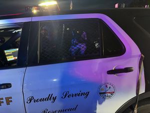 Image post by @temlasd on Instagram