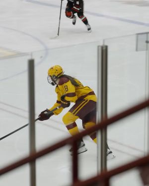 Image post by @gopherwhockey on Instagram