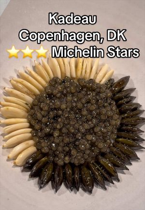 Video post by @highspeeddining on TikTok
