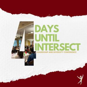 Image post by @elon_intersect on Instagram