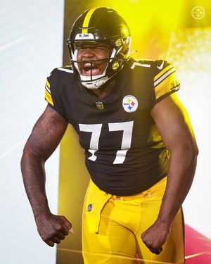 Image post by @steelers on Instagram