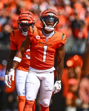 Image post by @bengals on Instagram