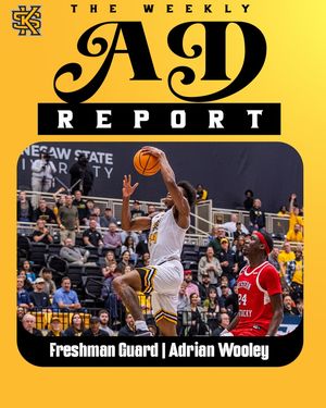 Image post by @ksuowlsmbb on Instagram