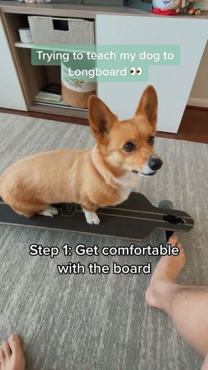 Video post by @aircorg on Instagram