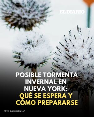 Image post by @eldiariony on Instagram