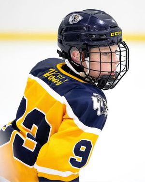 Image post by @vjwhockey on Instagram