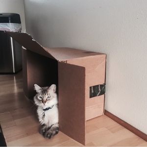 Image post by @amazon on Instagram
