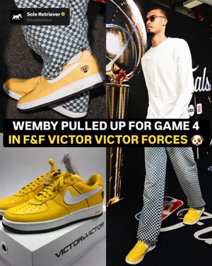 Image post by @soleretriever on Instagram
