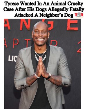 Image post by @theshaderoom on Instagram