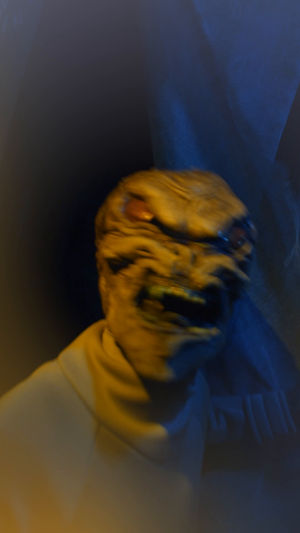 Video post by @halloweenhorrornights on TikTok