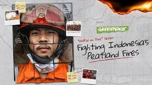Video post by @greenpeace on YouTube