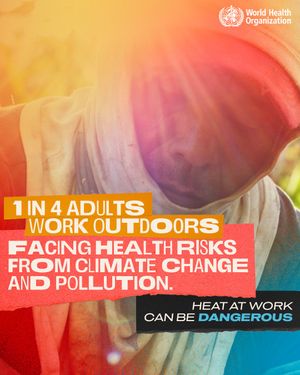 Image post by @who on Instagram