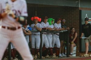 Image post by @elonsoftball on Instagram