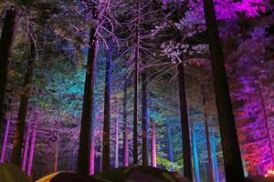 Image post by @nnmfestival on Instagram