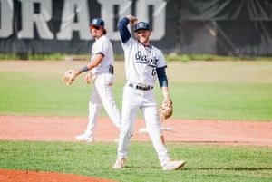 Image post by @OwlzNoCo on Twitter