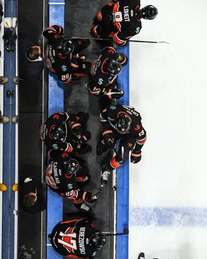 Video post by @makenamadkins on TikTok