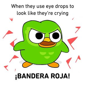 Image post by @duolingo on Instagram