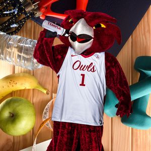 Image post by @templealumni on Instagram
