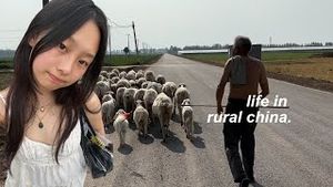 Video post by @mildredsauce on YouTube