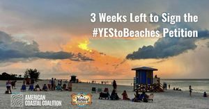 Image post by @cityofveniceflorida on Instagram