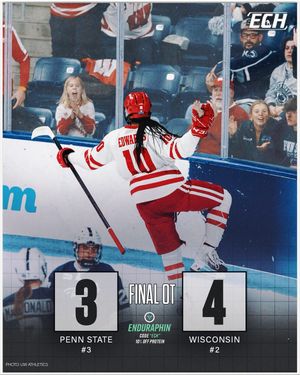Image post by @everythingcollegehockey on Instagram