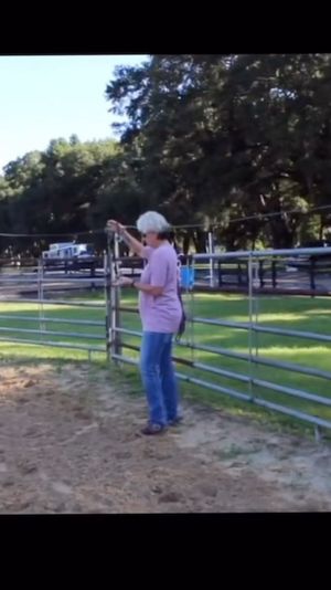 Video post by @jandcbitstexas on Facebook