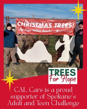 Image post by @cal.cars on Instagram